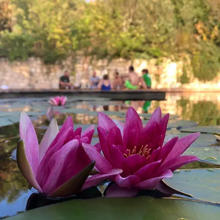בית נופש Les De Fallot Pour 15 Personnes - Piscine Naturelle *