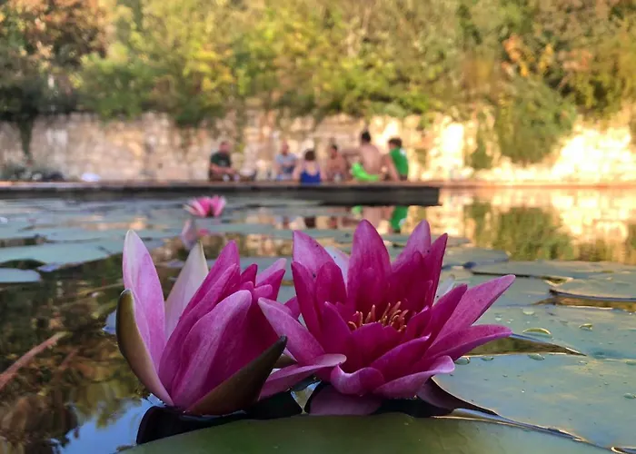 Σπίτι διακοπών Les De Fallot Pour 15 Personnes - Piscine Naturelle *